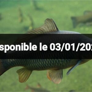 Fiompiana trondro 🐟 - Carpe