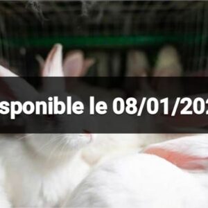 Fiompiana bitro 🐇