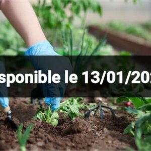 Ny fahavalom-boly sy fiantraikany ary ny ady atao aminy