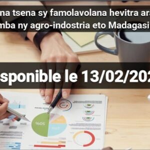 Ireo dingana atao @ fikarohana tsena sy famolavolana hevitra ara-barotra momba ny agro-indostria eto Madagasikara