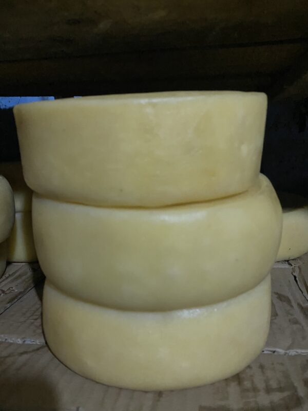 Fromage artisanal