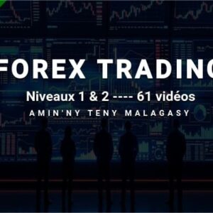 Forex Trading - Niveaux 1 & 2